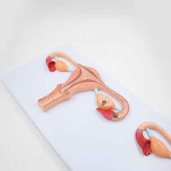 Ronix-Messwerkzeuge Modell Rh